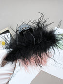 Studio shot with soft lighting emphasizing feather sheen and dimension